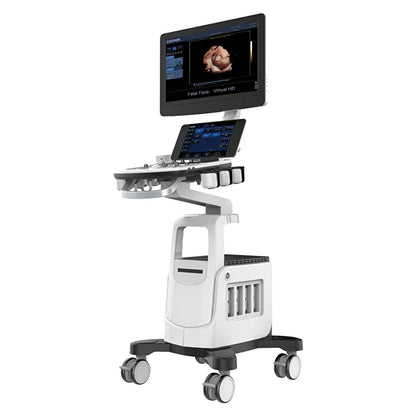 Échographe Doppler Couleur CHISON CBit 4 PRO avec 2 Sondes